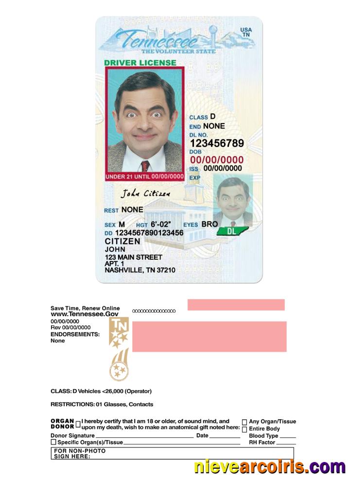 USA Tennessee driving license